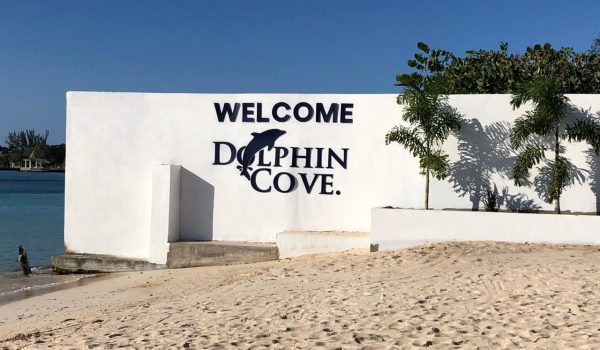 Welcome to Dolphin Cove