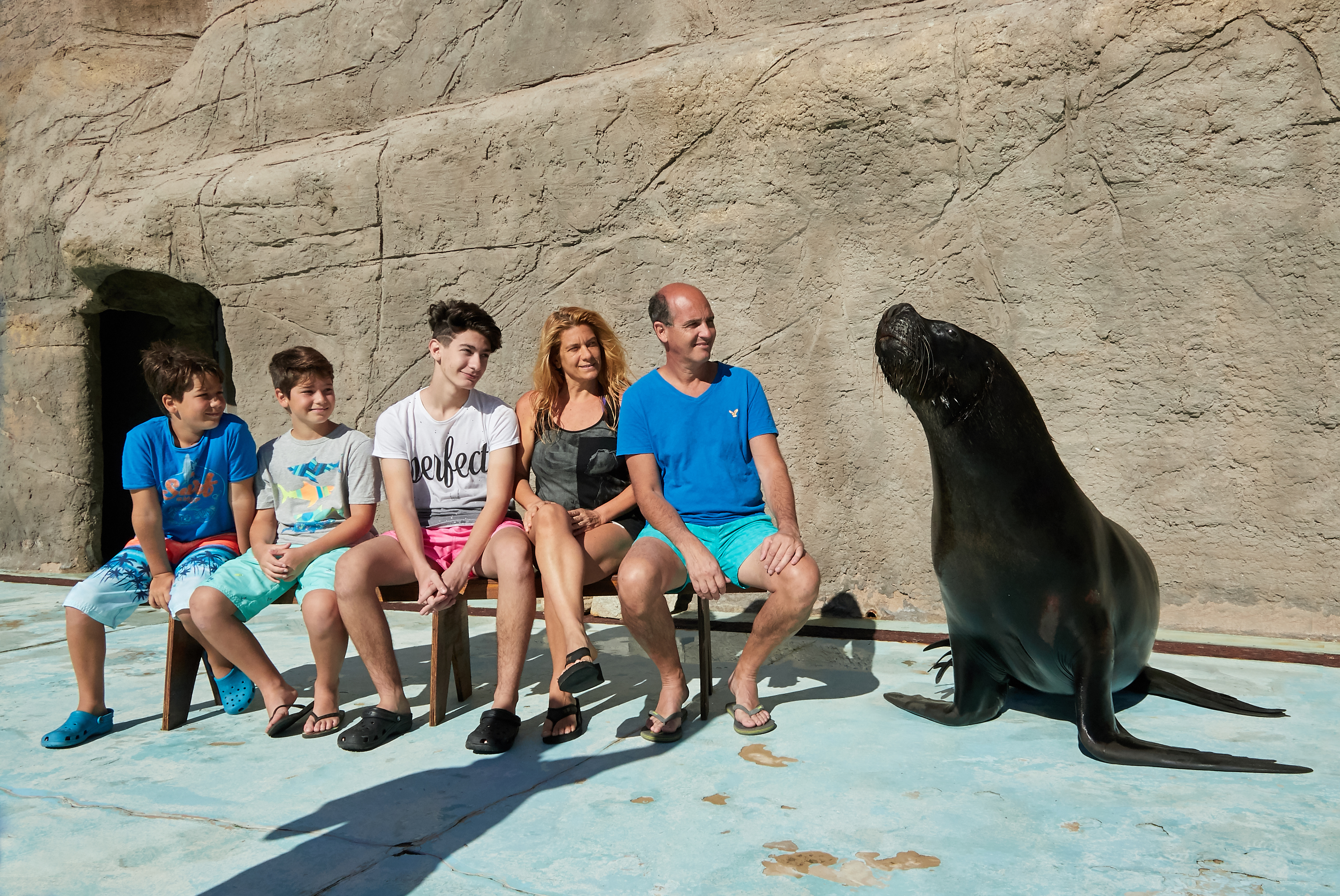 Sea lion Aquarium