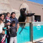 Sea lion Aquarium