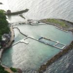 dolphin-cove-jamaica