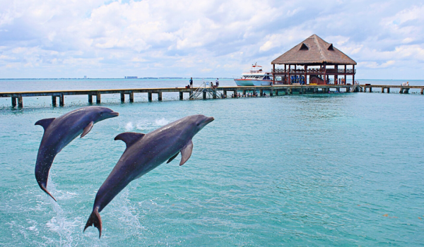 Dolphin Discovery Isla Mujeres