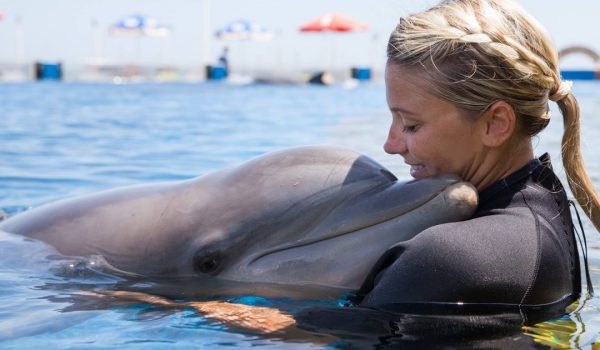 Marineland joins Grupo Dolphin