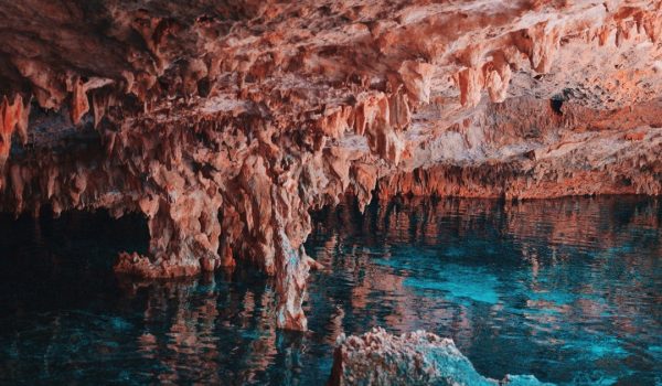 The best Cenotes in Riviera Maya