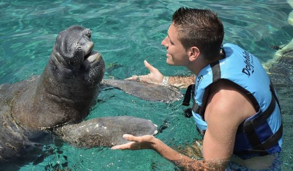 Facts about Manatees