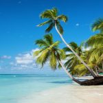 Nightlife in Punta Cana