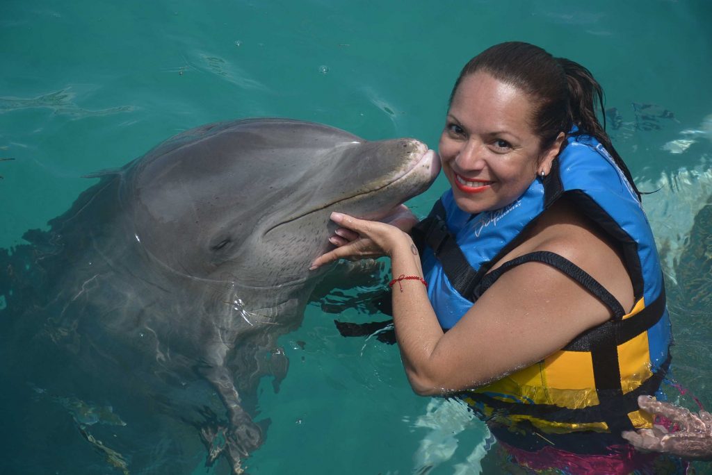 swim with dolphins in Mexico