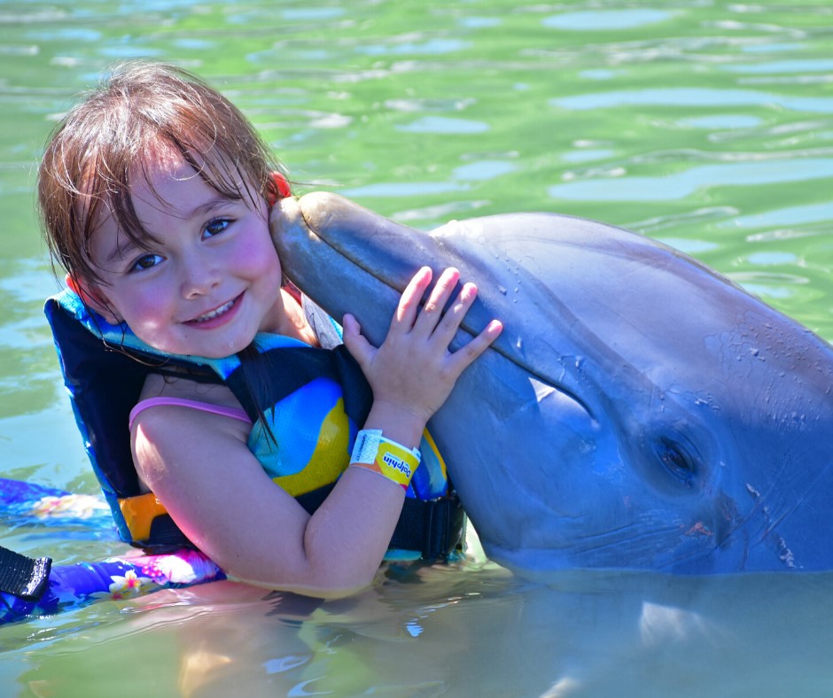 swim with dolphins in Mexico