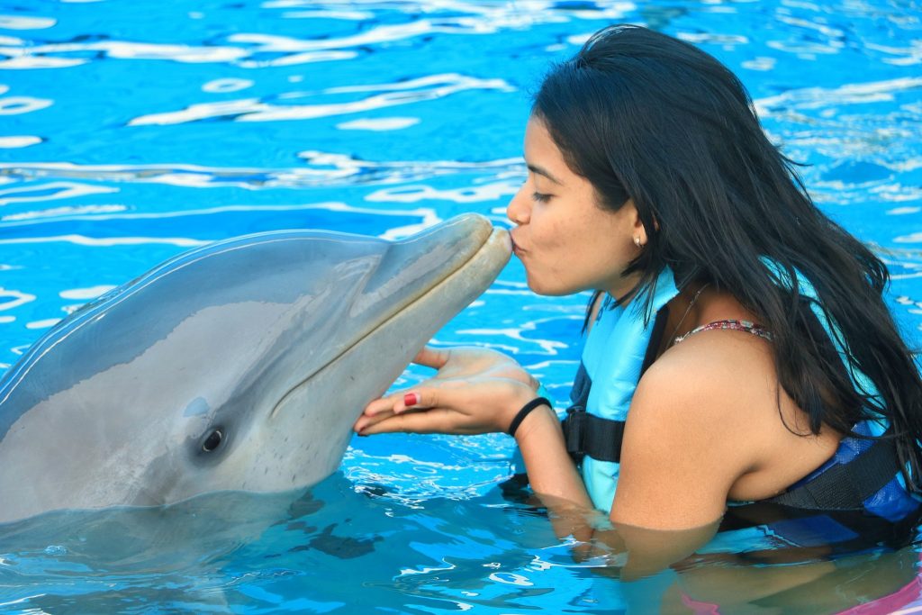 swim with dolphins in Mexico