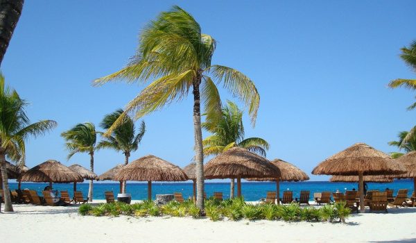 palms-beach-sand-sky-palapa