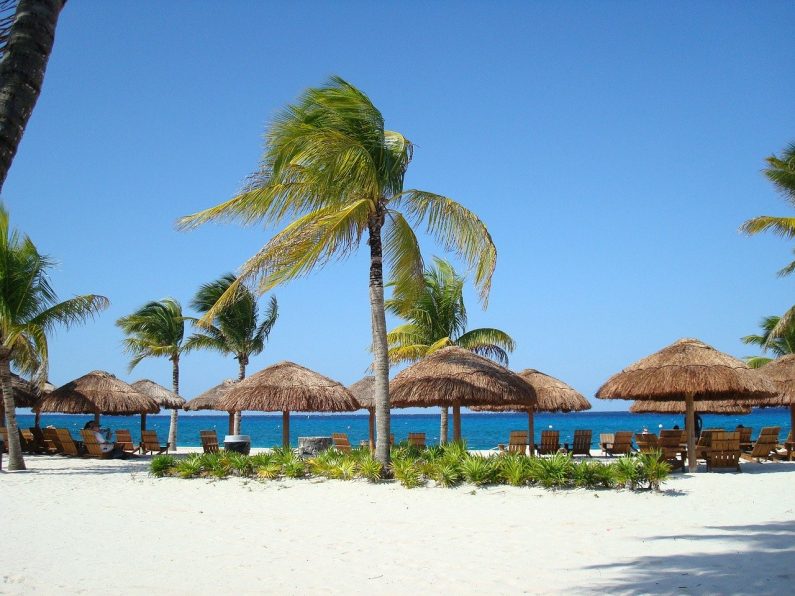 palms-beach-sand-sky-palapa