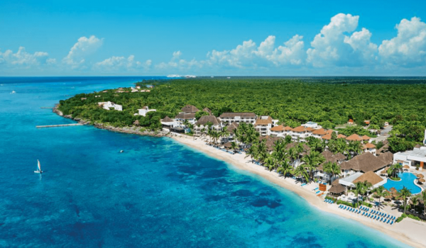 cozumel-ocean-palms-beach