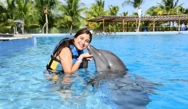 recommendations before swimming with dolphins in cancun