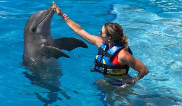 How much does it cost to swim with dolphins in Riviera Maya?