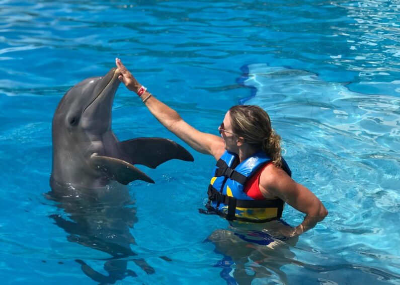 How much does it cost to swim with dolphins in Riviera Maya?