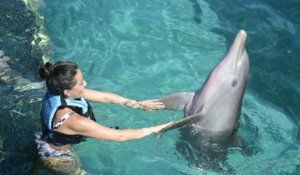 Woman likes to swim with Dolphins in Cancun