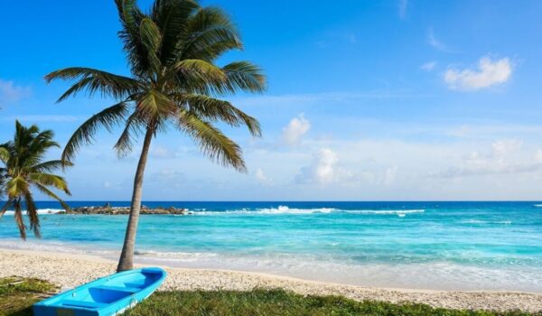 beaches in cozumel in the day