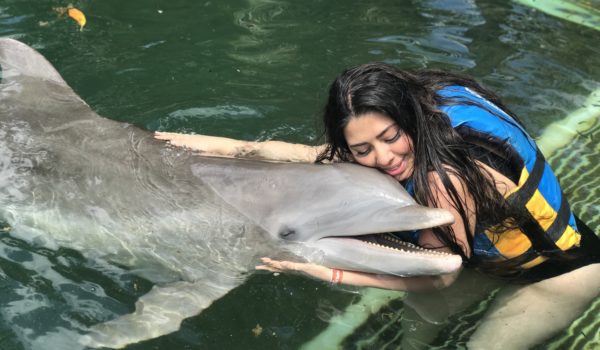 dolphin discovery riviera maya experience with a woman