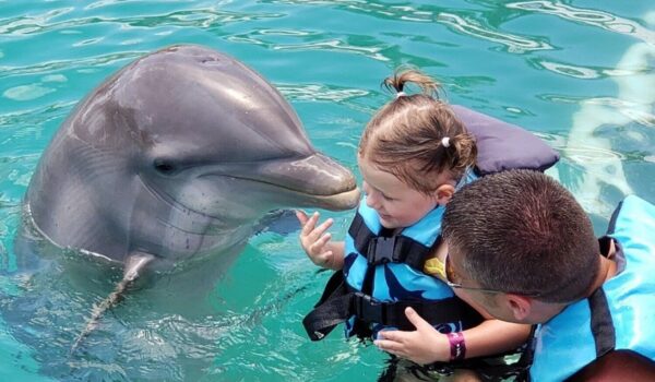 girl do swim with dolphins