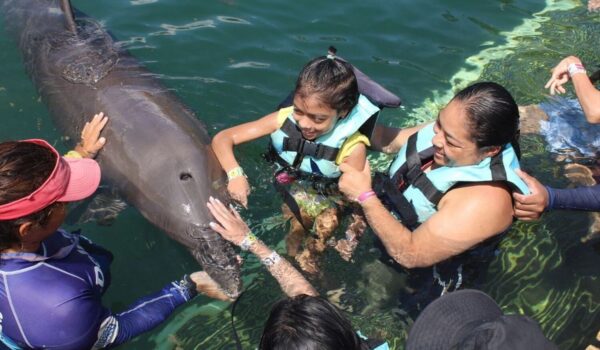 international-day-of-persons-with-disabilities-and-swim-with-dolphins