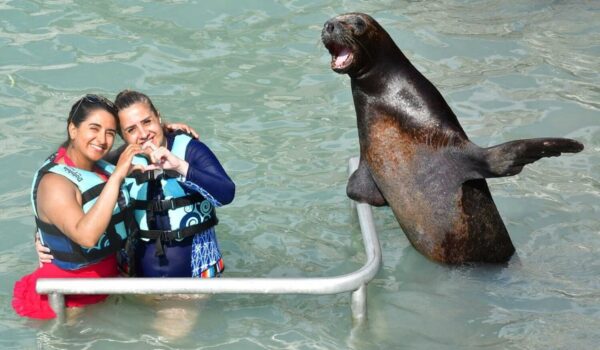 sea lion and women on the ocean