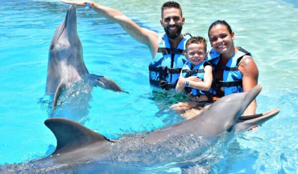 family having fun with dolphins in dolphin discovery playa del carmen