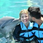 live-the-best-activities-with-dolphins-in-mexico