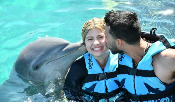 live-the-best-activities-with-dolphins-in-mexico