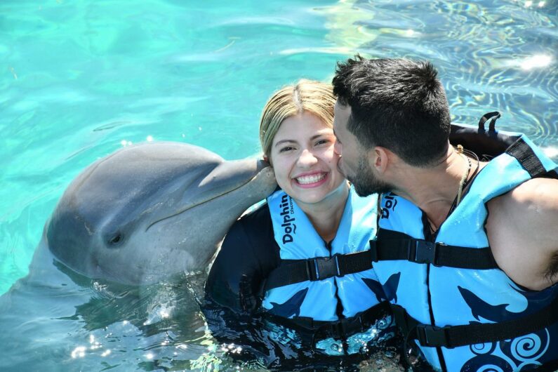 live-the-best-activities-with-dolphins-in-mexico