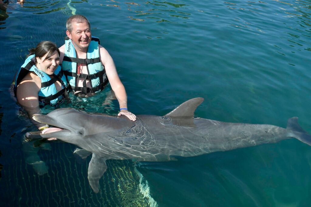 The Best Place To Swim With Dolphins In Cancun Isla Mujeres Dolphin ...