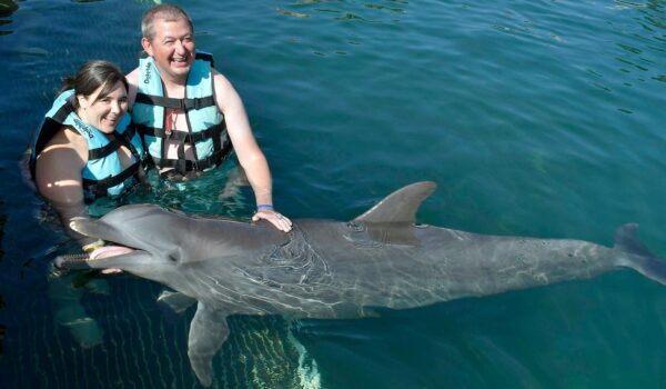 the-best-place-to-swim-with-dolphins-in-cancun-isla-mujeres