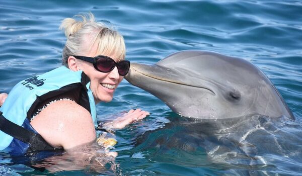 swim-with-dolphins-in-riviera-maya