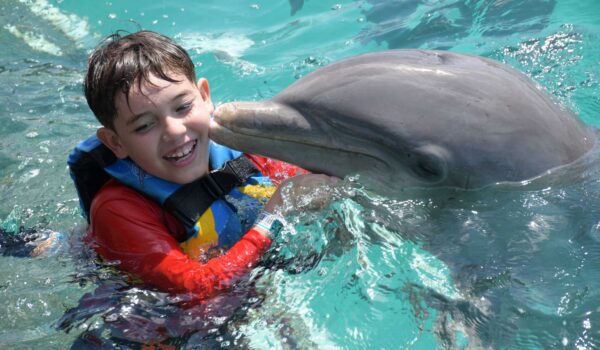 boy has activities day in dolphin discovery cancun