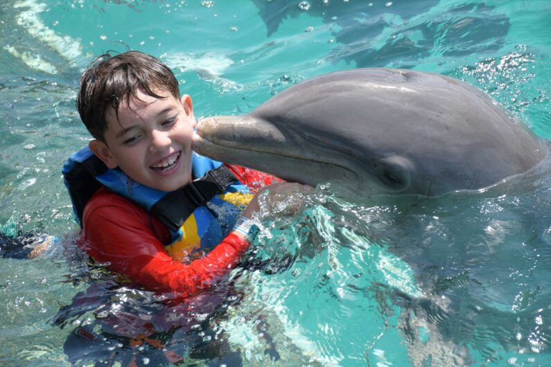 boy has activities day in dolphin discovery cancun
