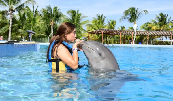 swimming-with-dolphins-in-playa-del-carmen