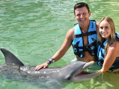 Descubre tu destino ideal en Quintana Roo, Dolphin Blog Dolphin Discovery