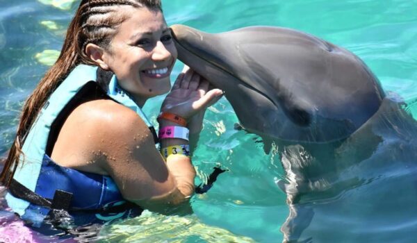 dolphin in isla mujeres