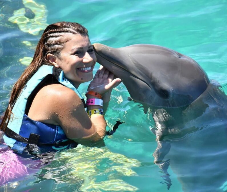 dolphin in isla mujeres