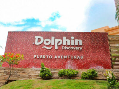 dolphin discovery puerto aventuras main facade