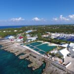 things to do in grand cayman