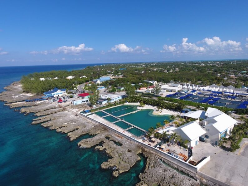 things to do in grand cayman