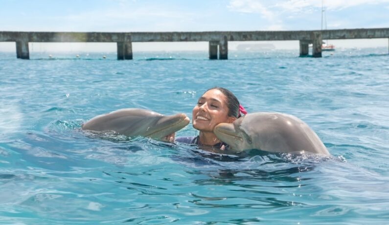 new tax to swim with dolphins in cancun and riviera maya